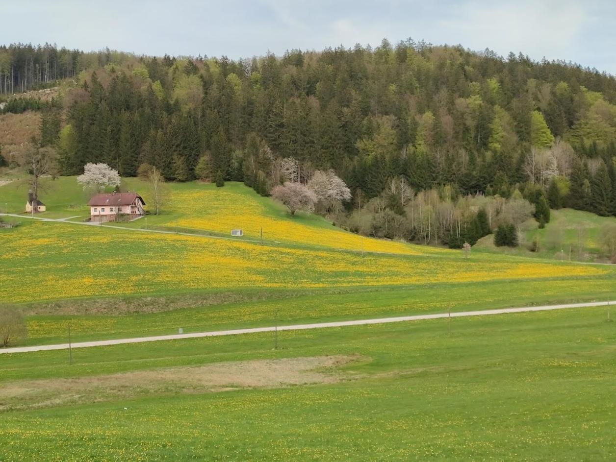 Ferienhaus Schoeller Schonbach Exterior photo
